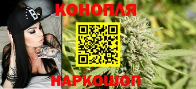 твердый Будённовск