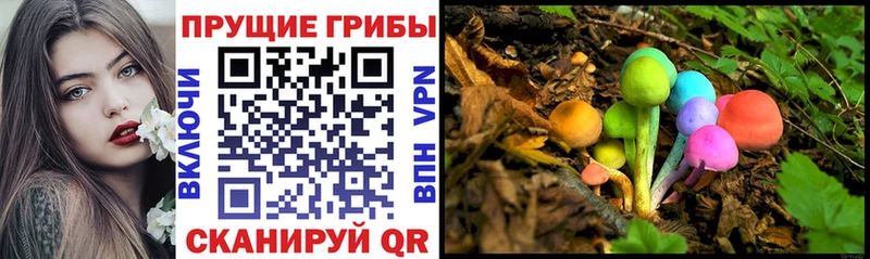 Псилоцибиновые грибы GOLDEN TEACHER  Вичуга 