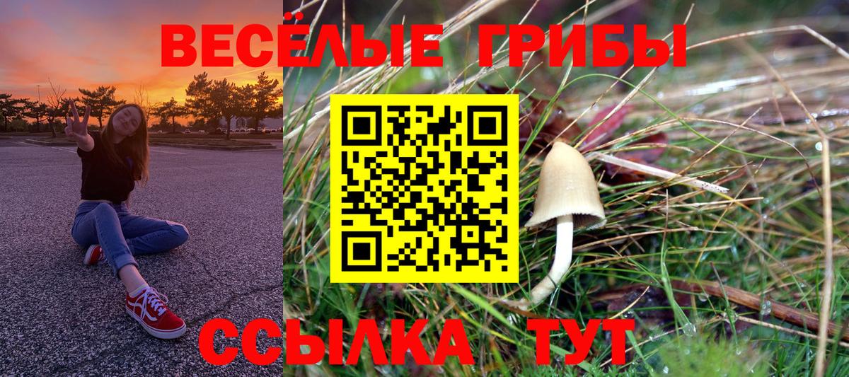 как найти закладки  Псилоцибиновые грибы MAGIC MUSHROOMS  Галлюциногенные грибы мицелий  Вход с VPN  Вичуга 